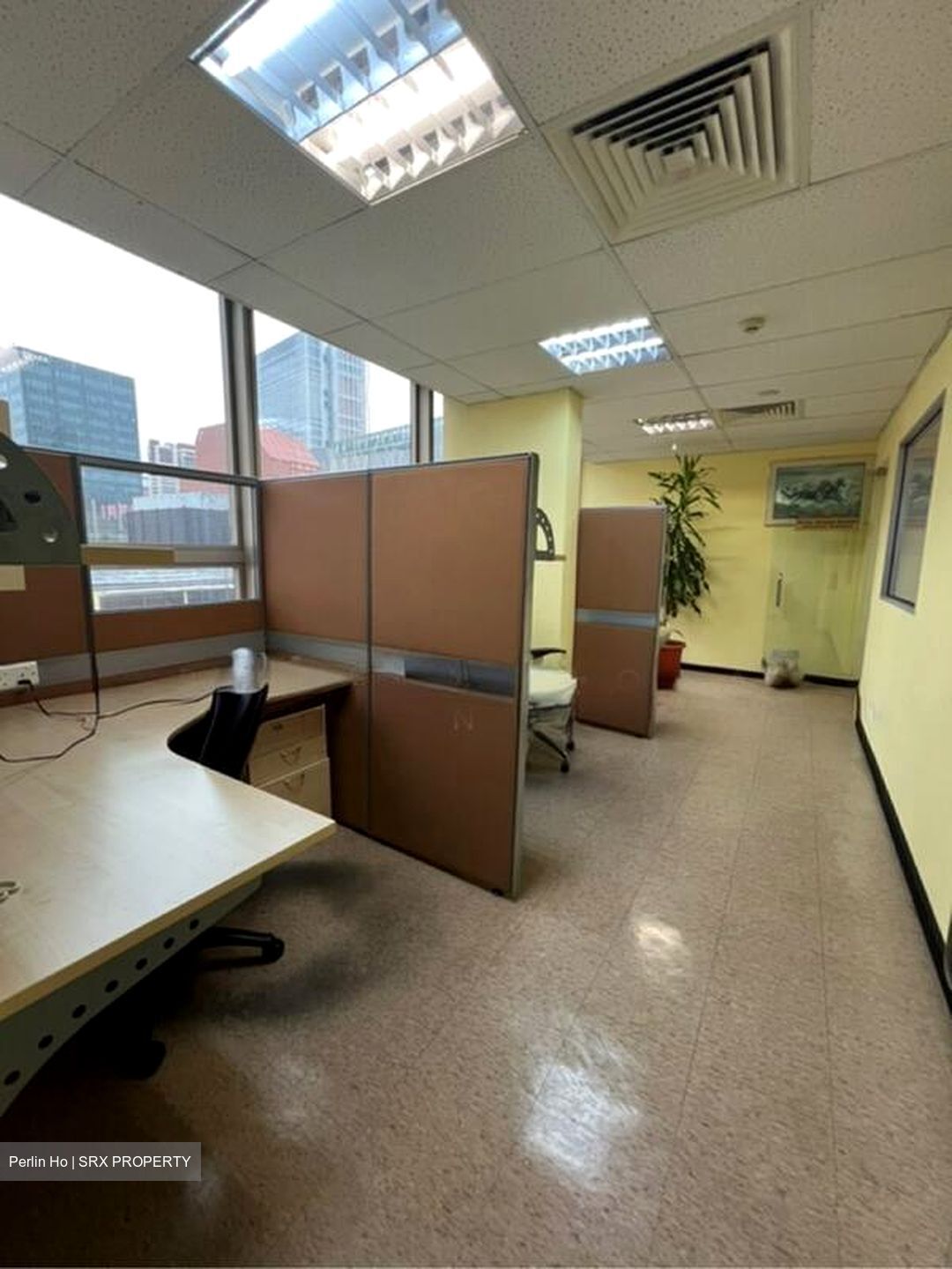 The Novelty House (D1), Office #509809031